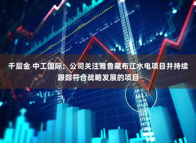 千层金 中工国际：公司关注雅鲁藏布江水电项目并持续跟踪符合战略发展的项目